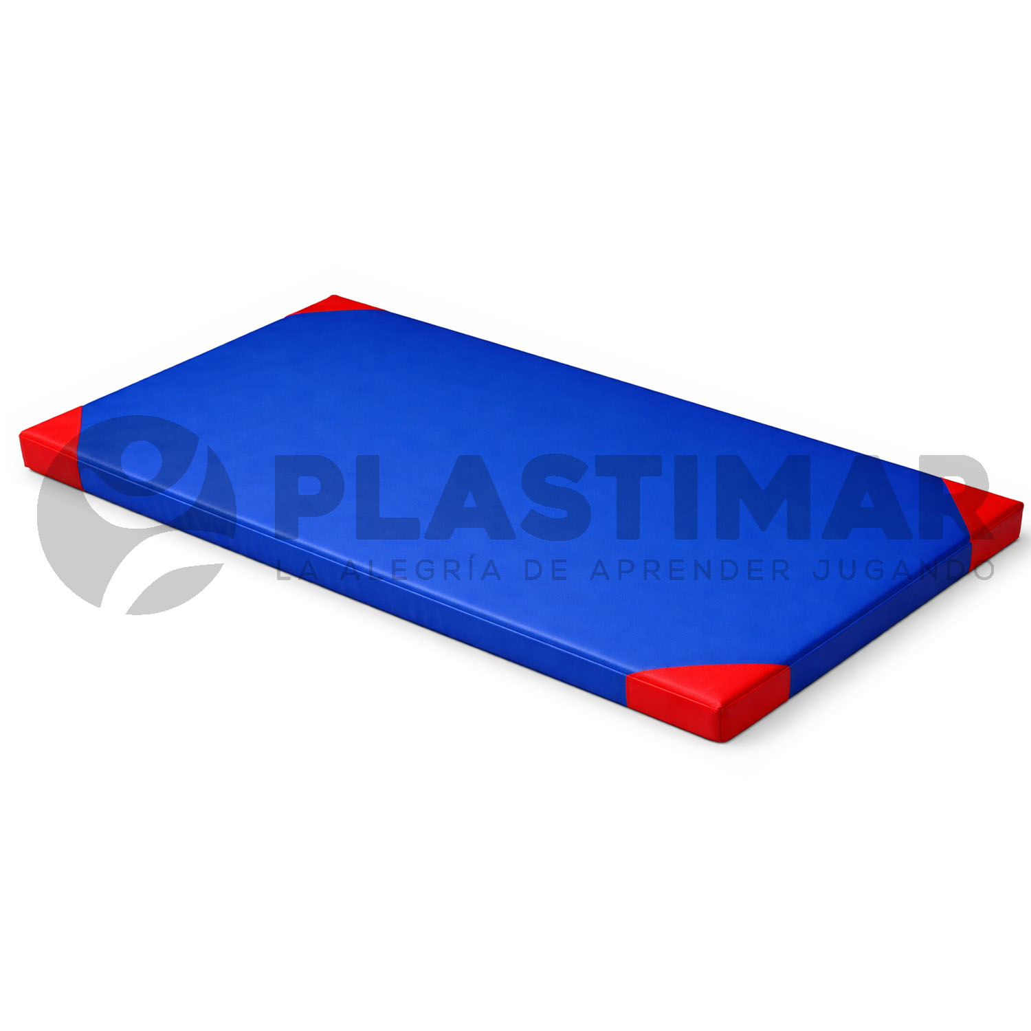 COLCHONETA ALTA RESISTENCIA 200X100X6 CM - 1 PIEZA