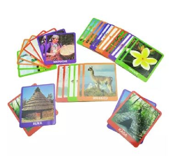 MEMORICE PUEBLOS INDIGENAS DE CHILE 10X12CM - 32 CARTA
