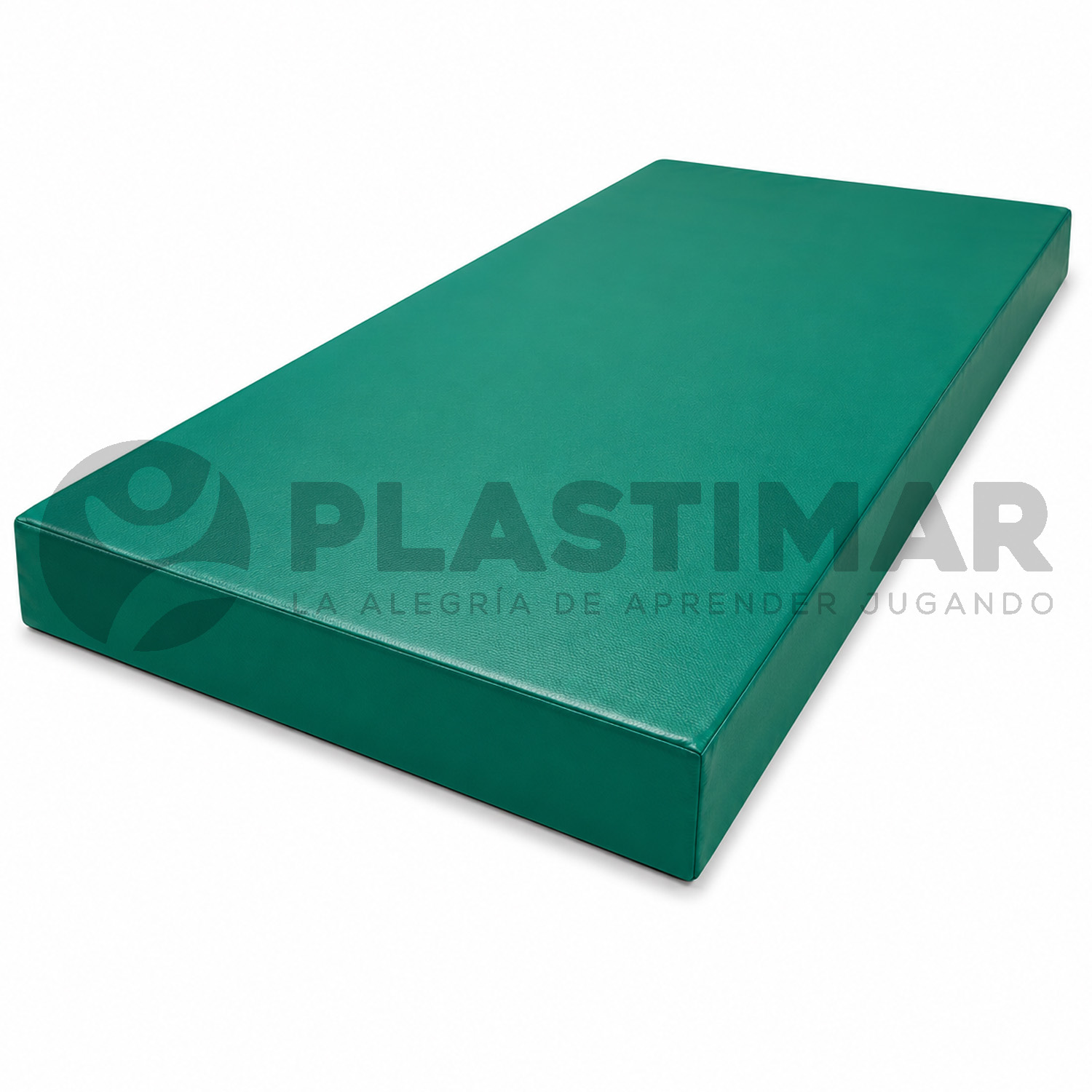 COLCHONETA ALTA RESISTENCIA 120X60X10 CM - 1 PIEZA