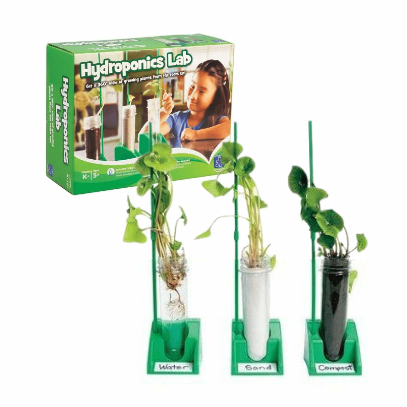 SET DE GERMINACIÓN Y CRECIMIENTO DE SEMILLAS – 12 PIEZAS