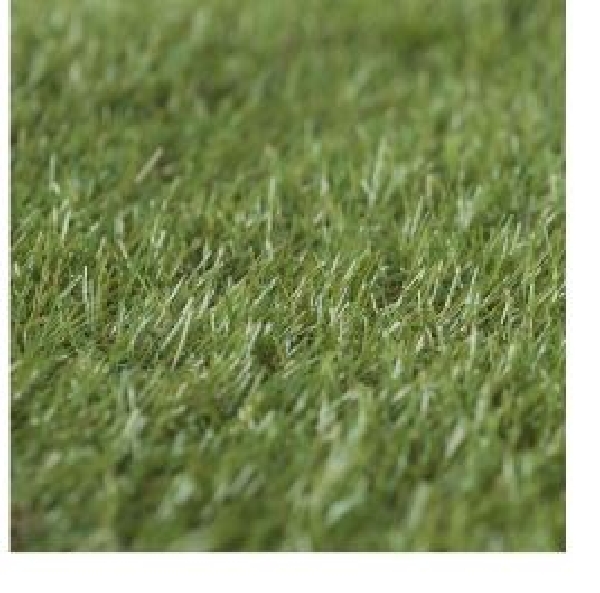 PASTO 20MM ROLLO 2X5 METROS