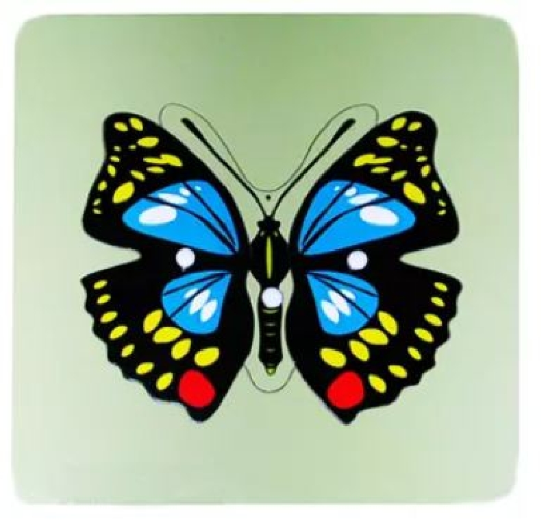 PUZZLE MADERA MARIPOSA MONTESSORI