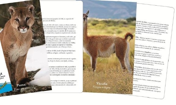 SET 10 LAMINAS DE ANIMALES CHILENOS