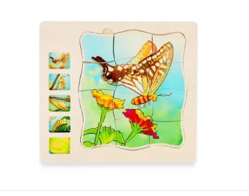 PUZZLE EN CAPAS SECUENCIA MARIPOSA