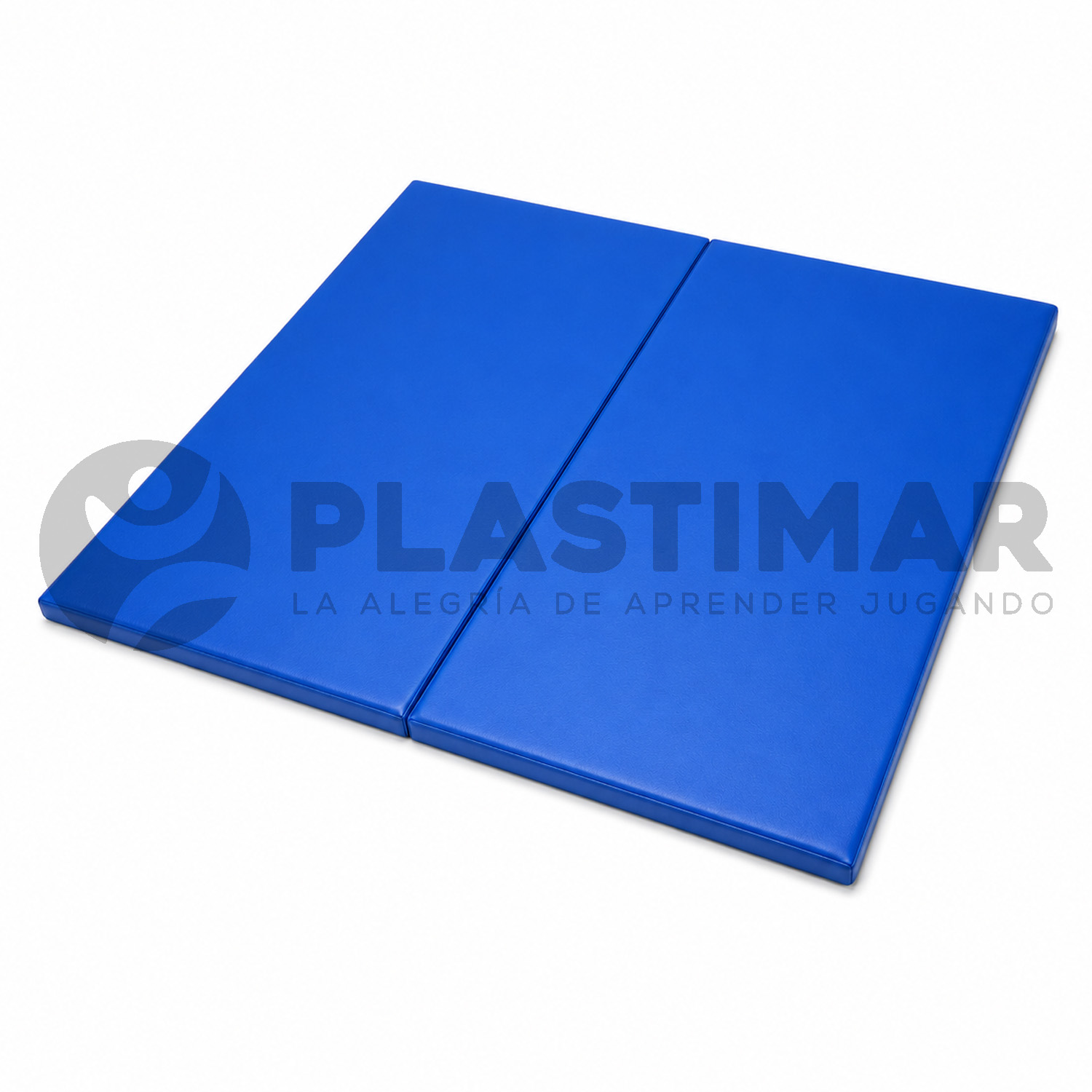 COLCHONETA PLEGABLE GRANDE 250X250X3 CM - 1 PIEZA