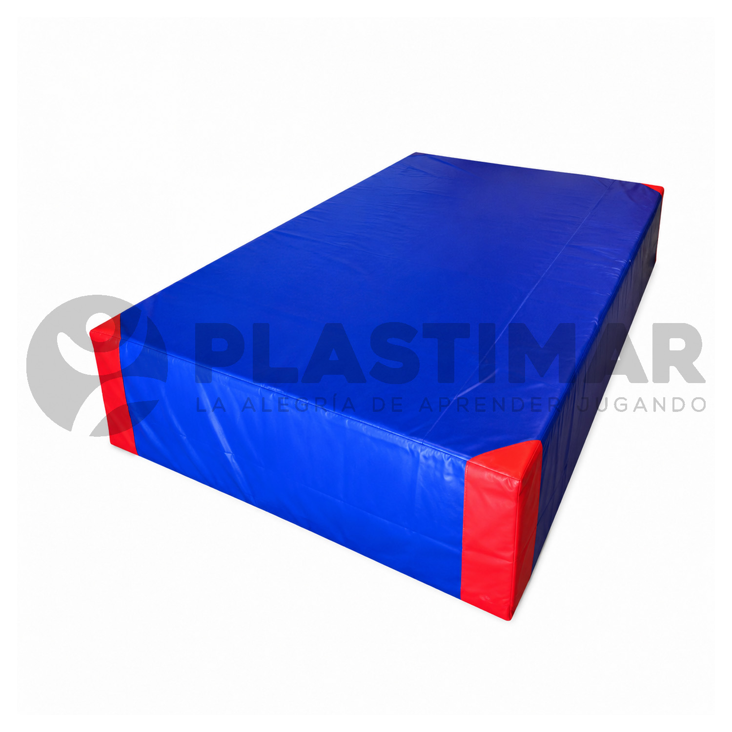 COLCHONETA BIG 200X100X10 CM - 1 PIEZA